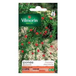 Vilmorin Graines D'Ipomée Quamoclit