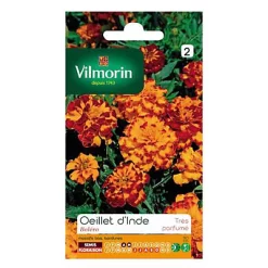 Graines D'Oeillet D'Inde Boléro Vilmorin