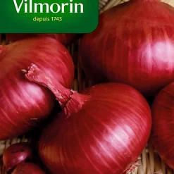 Graines D'Oignon Rouge De Brunswick Vilmorin