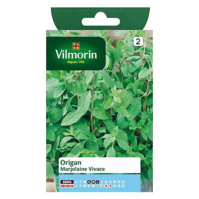 Vilmorin Graines D'Origan Marjolaine Vivace