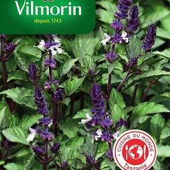 Vilmorin Graines De Basilic Blue Spice VL 2