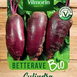 Vilmorin Graines De Betterave Cylindra Bio VL 2
