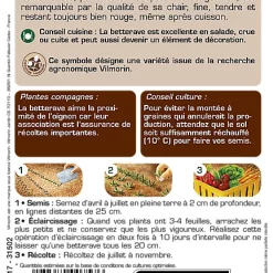 Vilmorin Graines De Betterave Détroit 2 Darko