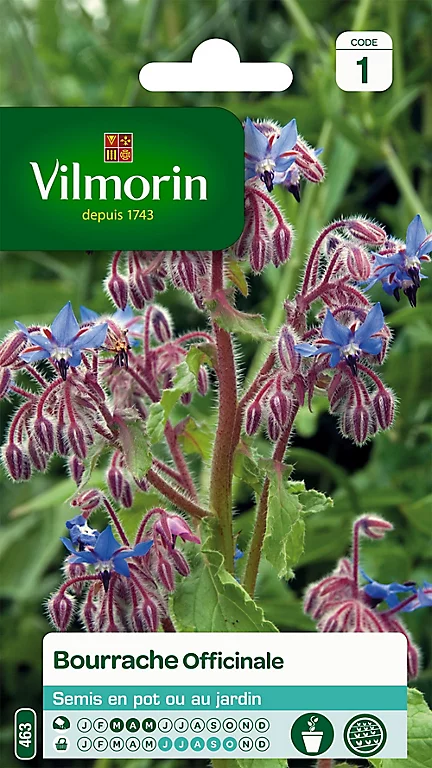 Vilmorin Graines De Bourrache Officinale