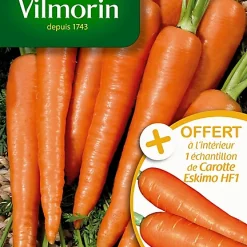 Vilmorin Graines De Carotte De Colmar à Coeur Rouge 2