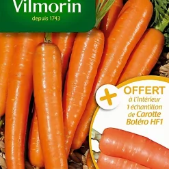 Vilmorin Graines De Carotte Touchon