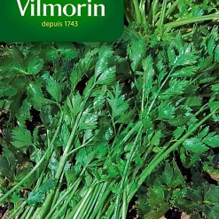 Vilmorin Graines De Céleri à Couper
