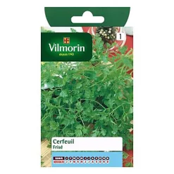 Vilmorin Graines De Cerfeuil Frisé