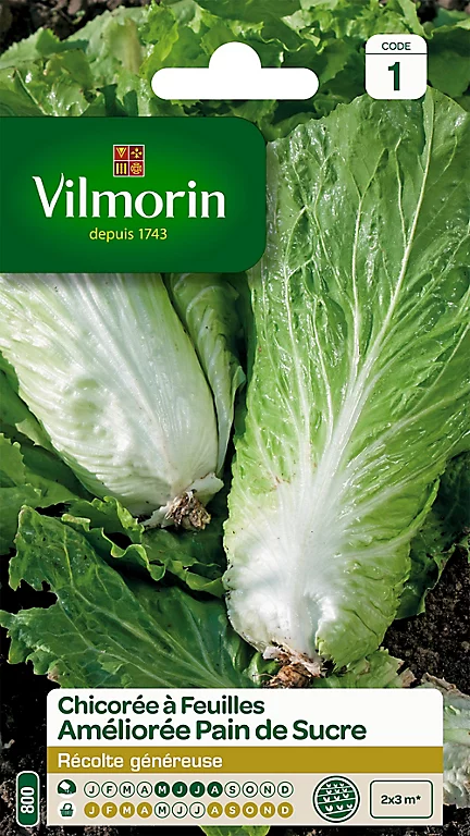 Vilmorin Graines De Chicorée Sauvage Améliorée Pain De Sucre