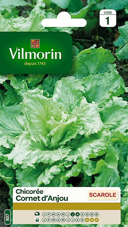 Vilmorin Graines De Chicorée Scarole Cornet D'Anjou