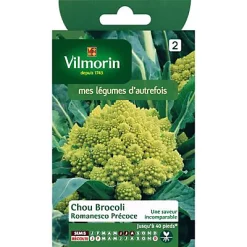 Vilmorin Graines De Chou Brocoli Romanesco Précoce