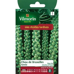 Vilmorin Graines De Chou De Bruxelles Sanda