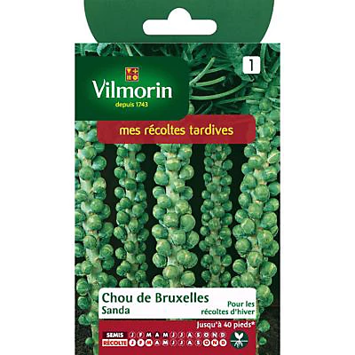 Vilmorin Graines De Chou De Bruxelles Sanda