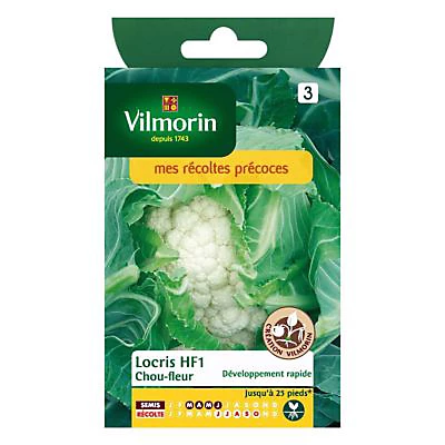 Vilmorin Graines De Chou Fleur Locris Hybride F1