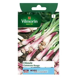 Vilmorin Graines De Ciboule Commune Rouge