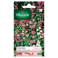 Graines De Clarkia Elégant Double Varié Vilmorin