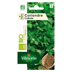 Vilmorin Graines De Coriandre Cultivée Bio