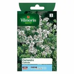 Vilmorin Graines De Coriandre Cultivée