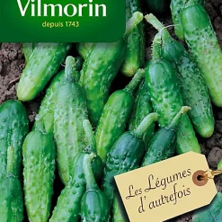 Graines De Cornichon Vert Petit De Paris Vilmorin