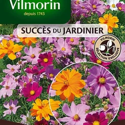 Vilmorin Graines De Cosmos Feng Shui