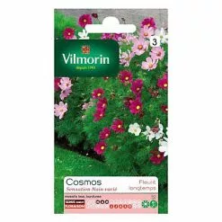 Vilmorin Graines De Cosmos Sensation Nain