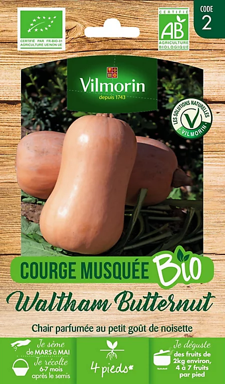 Vilmorin Graines De Courge Butternut Bio