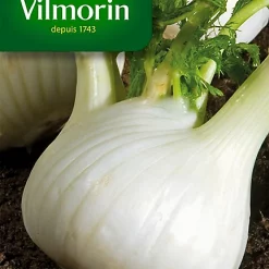 Graines De Fenouil Doux De Florence Vilmorin