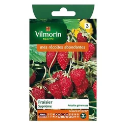 Vilmorin Graines De Fraisier 4 Saisons Suprême