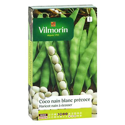 Vilmorin Graines De Haricot à écosser Coco Nain Blanc Précoce