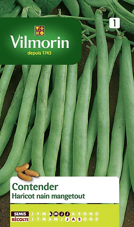 Vilmorin Graines De Haricot Nain Mangetout Contender