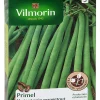 Vilmorin Graines De Haricot Nain Primel