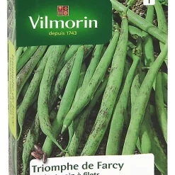 Graines De Haricot Nain Triomphe Farcy Vilmorin