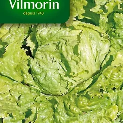 Graines De Laitue Batavia Blonde De Paris Vilmorin