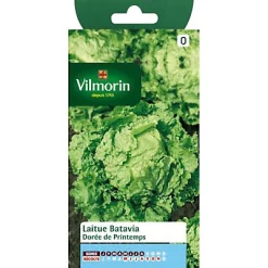 Vilmorin Graines De Laitue Batavia Dorée De Printemps