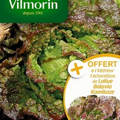 Graines De Laitue Batavia Rouge Grenobloise Vilmorin
