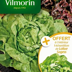 Graines De Laitue Pommée Kinemontepas Vilmorin