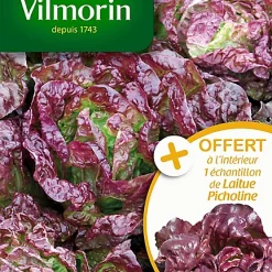 Graines De Laitue Pommée Merveille Des 4 Saisons Vilmorin