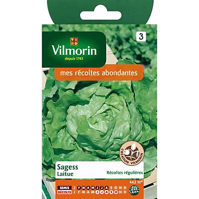 Vilmorin Graines De Laitue Pommée Sagess