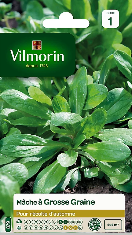 Graines De Mâche à Grosse Graine Vilmorin