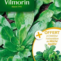 Graines De Mâche Ronde Maraîchère Vilmorin