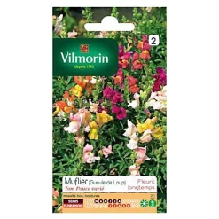 Graines De Muflier Tom Pouce Varié (Geule De Loup) Vilmorin