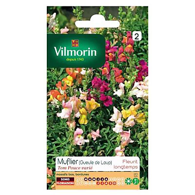 Graines De Muflier Tom Pouce Varié (Geule De Loup) Vilmorin