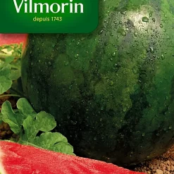 Graines De Pastèque Sugar Baby Vilmorin