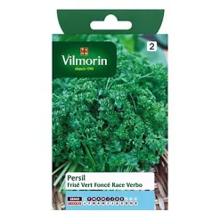 Vilmorin Graines De Persil Frisé Vert Foncé Race Verbo