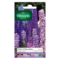 Vilmorin Graines De Pied D'Alouette Vivace Varié (Delphinium)