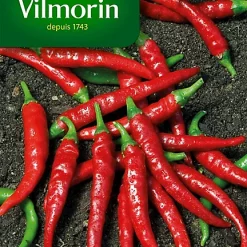 Graines De Piment De Cayenne Vilmorin