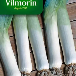 Graines De Poireau D'Hiver Race Vernor Vilmorin