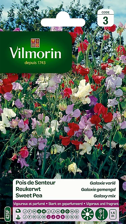 Graines De Pois De Senteur Galaxie Varié Vilmorin