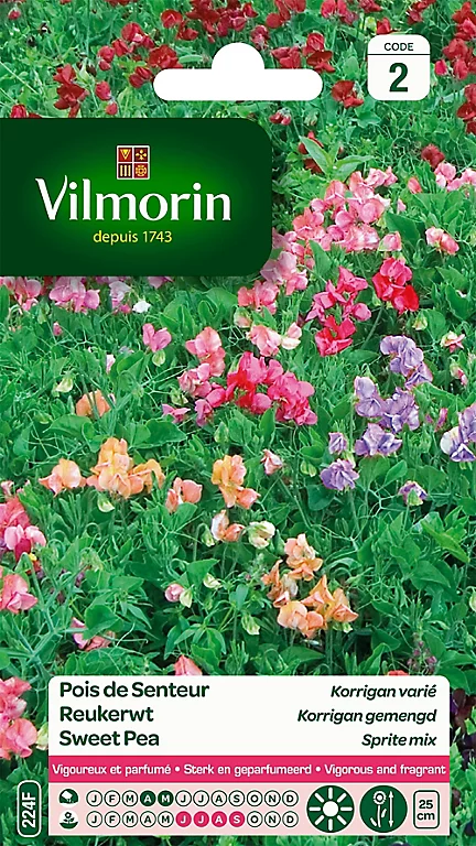 Graines De Pois De Senteur Korrigan Varié Vilmorin