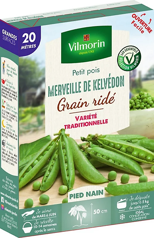 Vilmorin Graines De Pois Merveille Kelvedon 20M VL